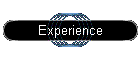 Experience