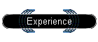 Experience